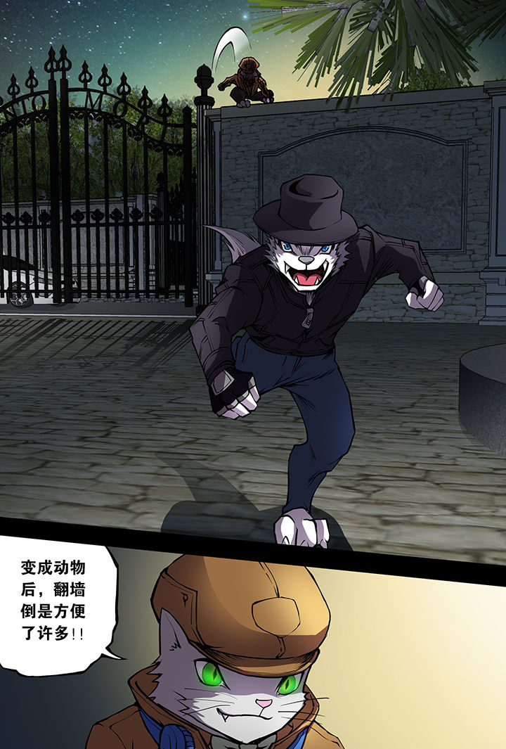 【猫侦探】漫画-（第9章：）章节漫画下拉式图片-第8张图片