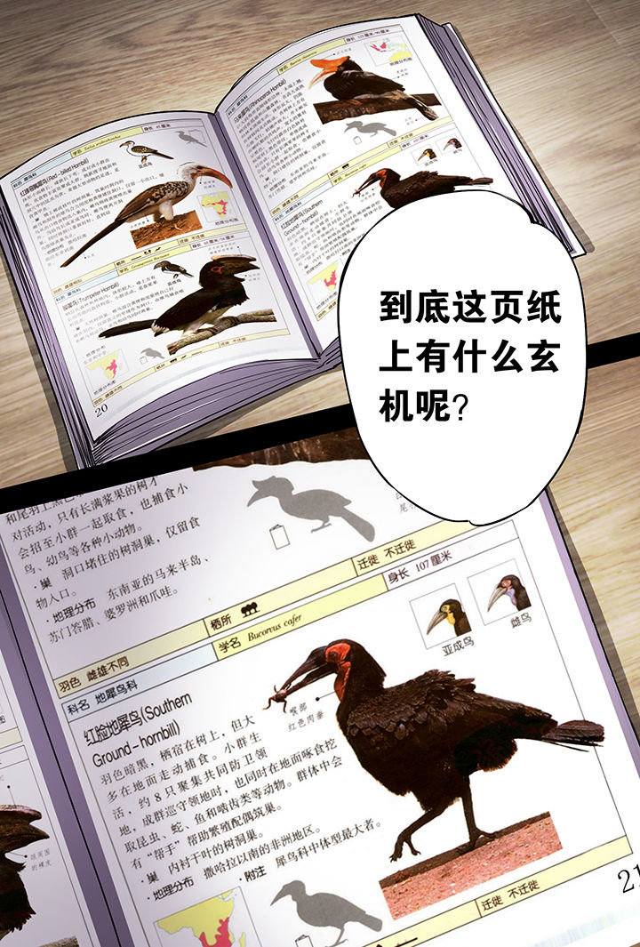 【猫侦探】漫画-（第10章：）章节漫画下拉式图片-第26张图片