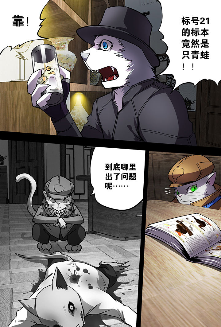 【猫侦探】漫画-（第10章：）章节漫画下拉式图片-第24张图片