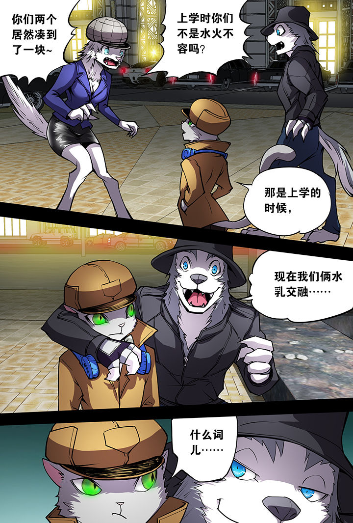 【猫侦探】漫画-（第11章：）章节漫画下拉式图片-第3张图片