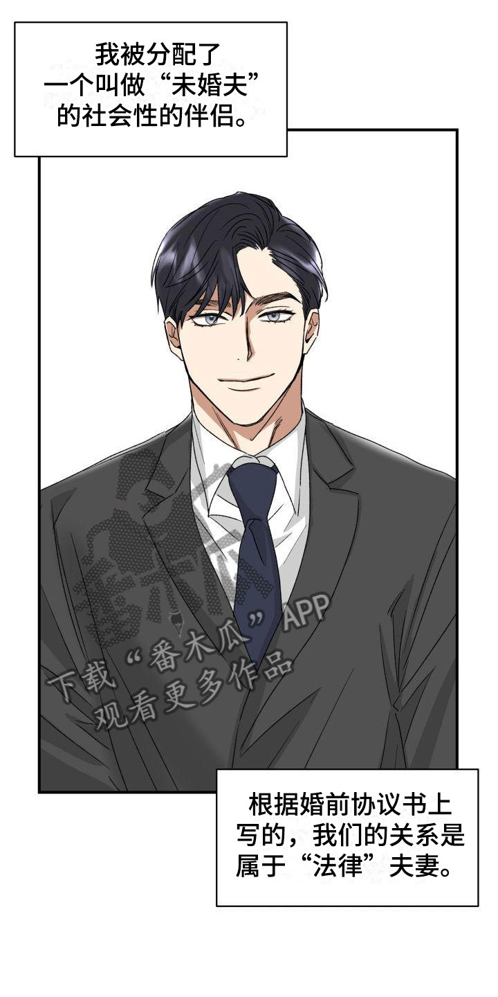 【绝对优势】漫画-（第8章：没有爱情）章节漫画下拉式图片-第14张图片