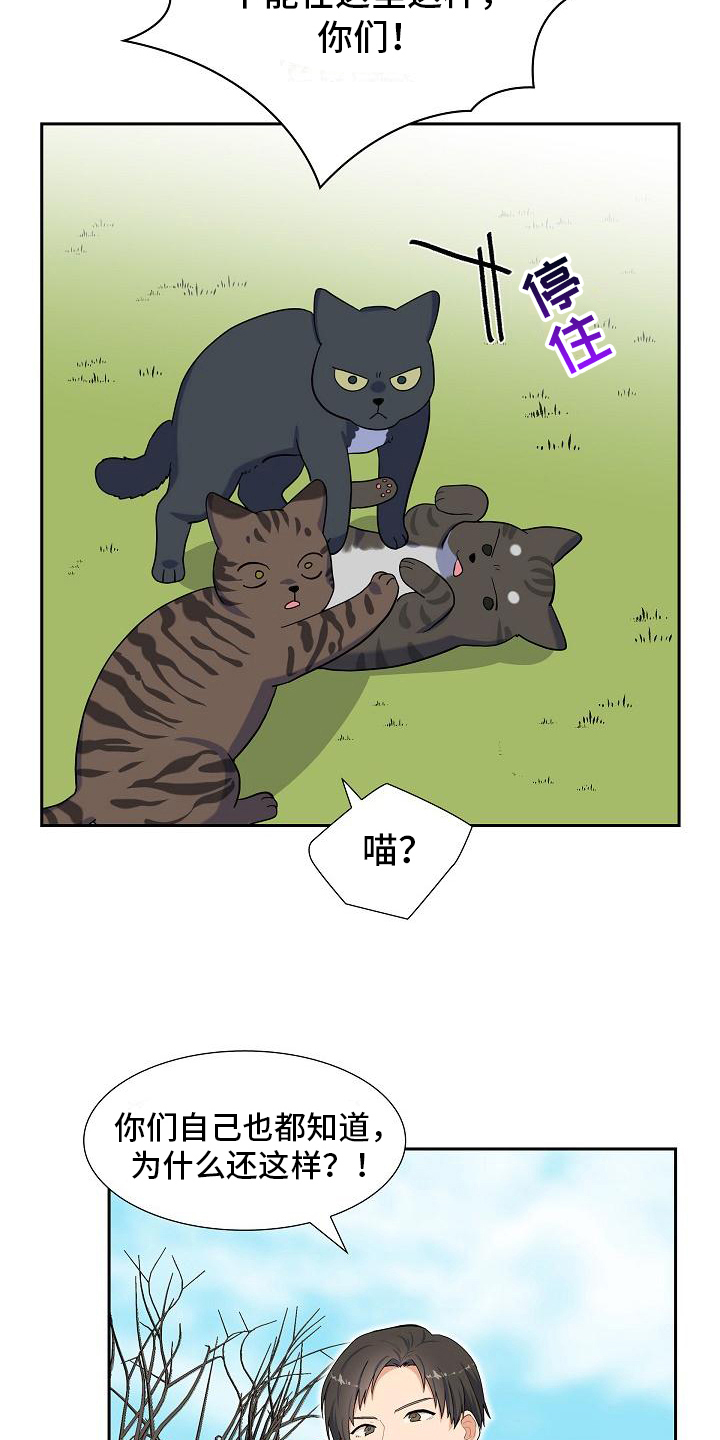 第7章：猫的纷争10