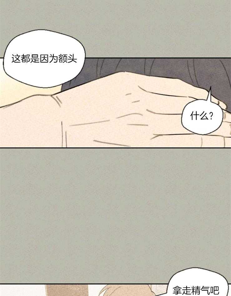 第31话 照片8