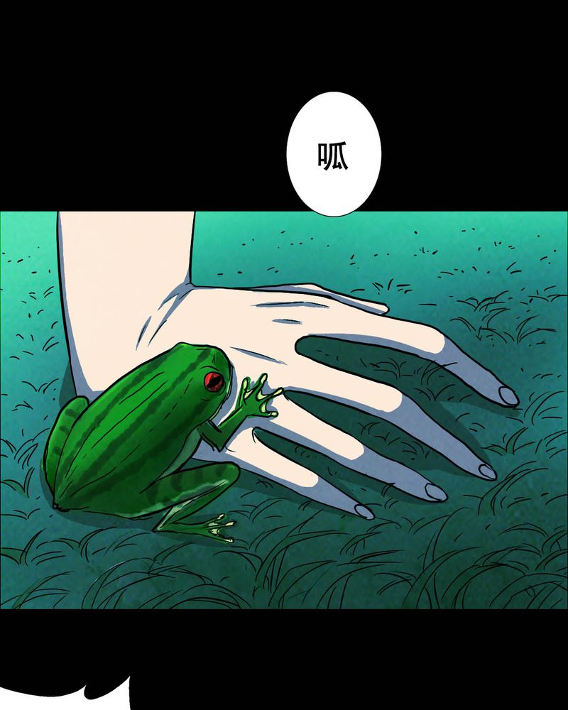 第50章青蛙（一）31