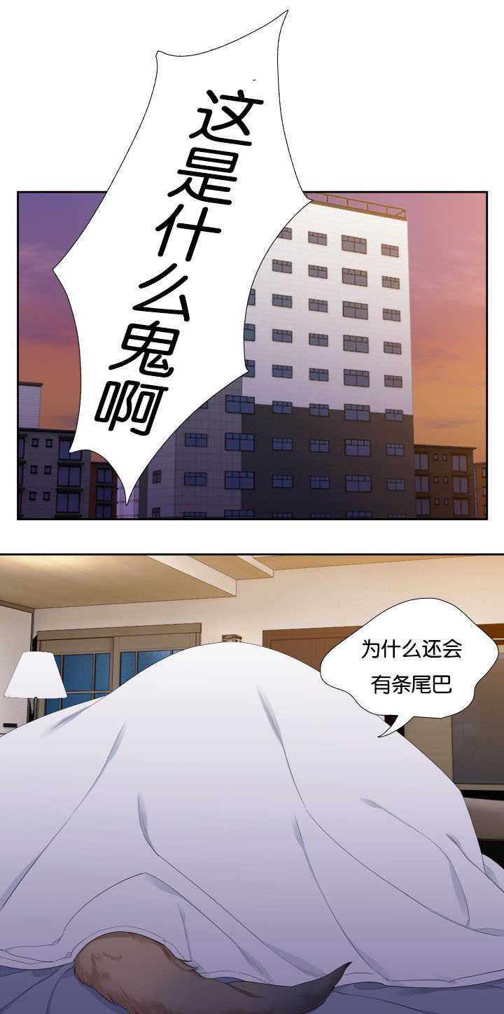 【狼的香气】漫画-（第31章随心所欲）章节漫画下拉式图片-第4张图片