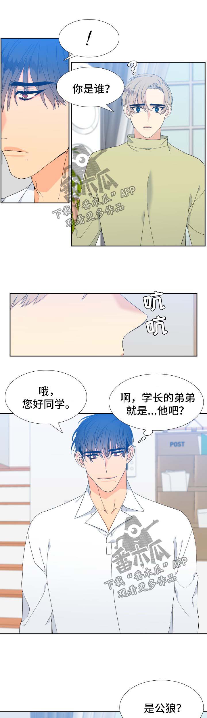 【狼的香气】漫画-（第141章【第二季】只有我能叫哥）章节漫画下拉式图片-第5张图片