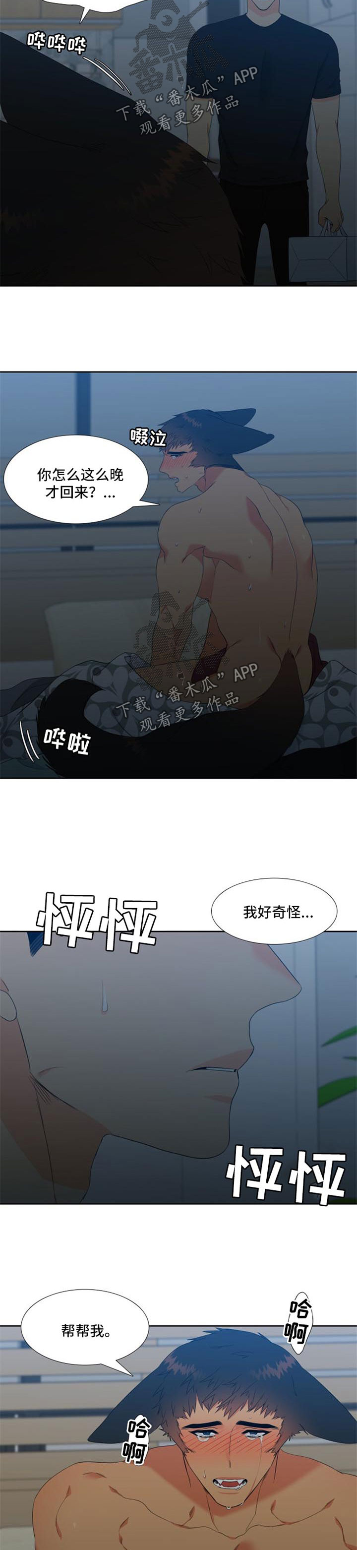 【狼的香气】漫画-（第159章【第二季】帮帮我）章节漫画下拉式图片-第6张图片