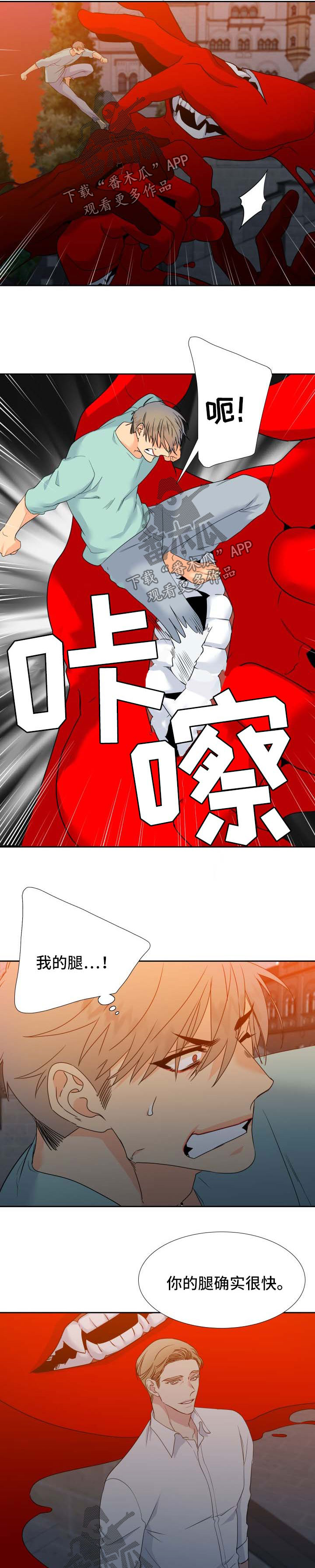 【狼的香气】漫画-（第189章【第二季】快离开这儿）章节漫画下拉式图片-第2张图片