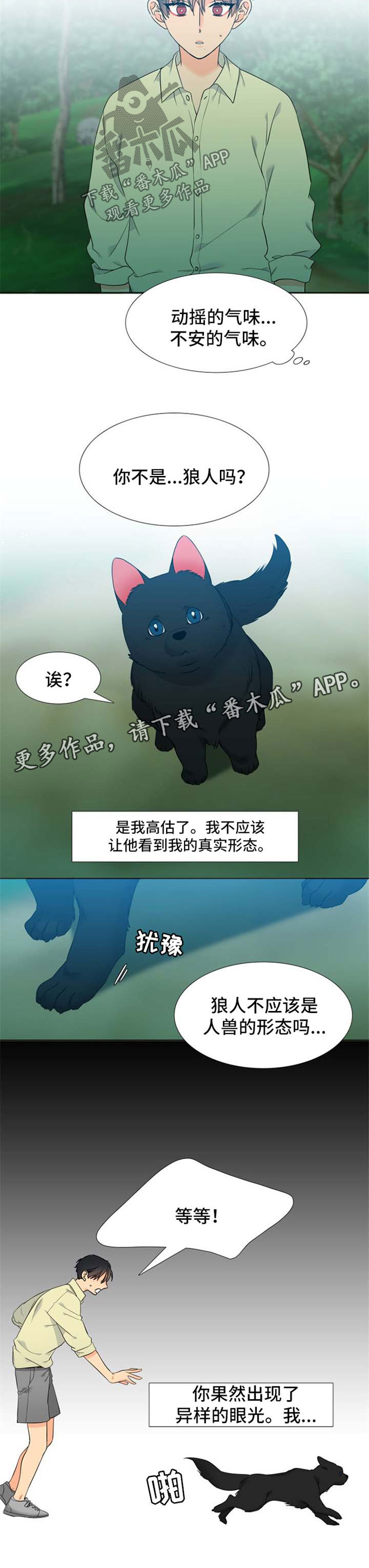 【狼的香气】漫画-（第209章【第二季】不要过于沉浸）章节漫画下拉式图片-第7张图片