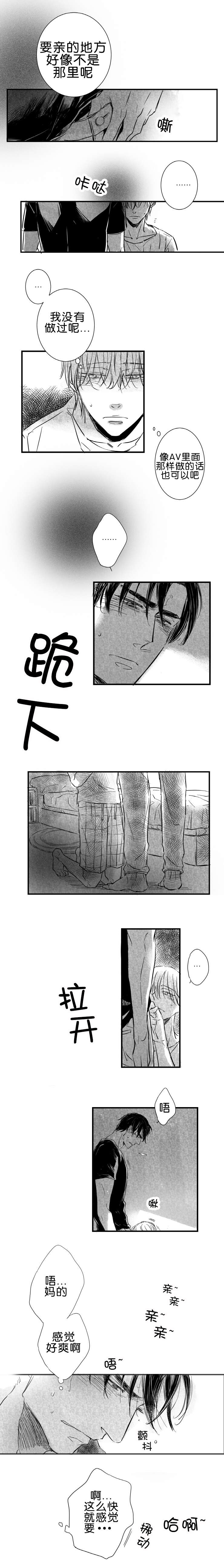 《如狼似犬前传》漫画最新章节第21章实施免费下拉式在线观看章节第【2】张图片