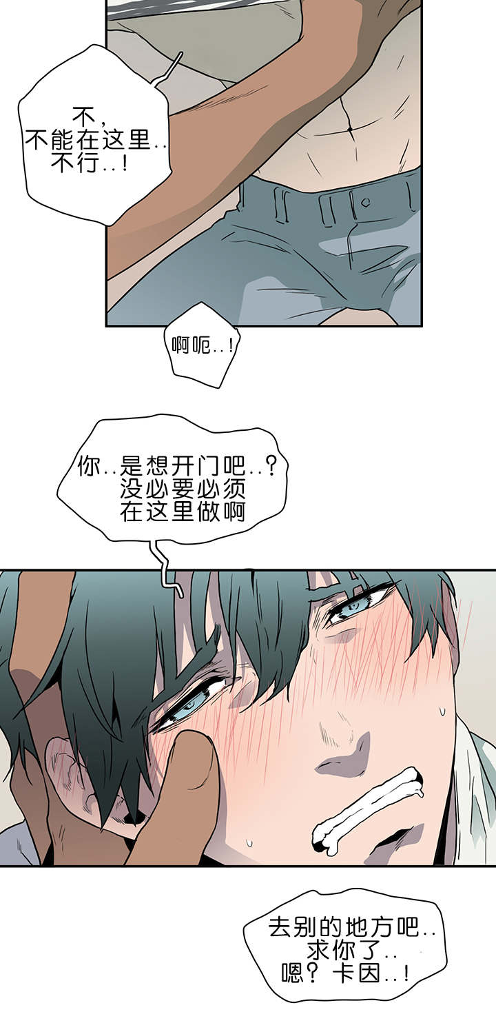 《黑焰纹章》漫画最新章节第36章狭路相逢免费下拉式在线观看章节第【14】张图片