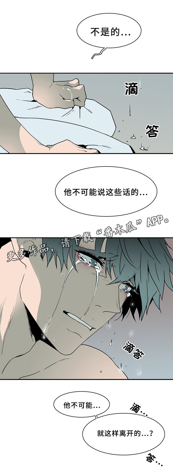 《黑焰纹章》漫画最新章节第75章谎言免费下拉式在线观看章节第【2】张图片