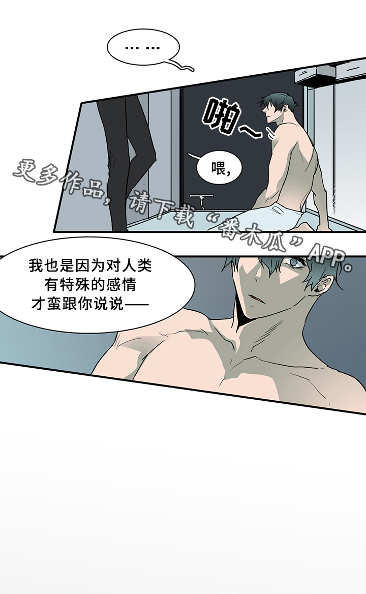 《黑焰纹章》漫画最新章节第75章谎言免费下拉式在线观看章节第【8】张图片