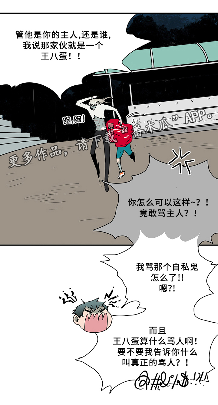 《黑焰纹章》漫画最新章节第83章行踪免费下拉式在线观看章节第【12】张图片