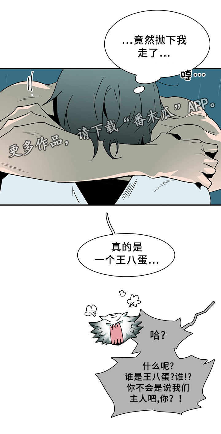 《黑焰纹章》漫画最新章节第83章行踪免费下拉式在线观看章节第【13】张图片