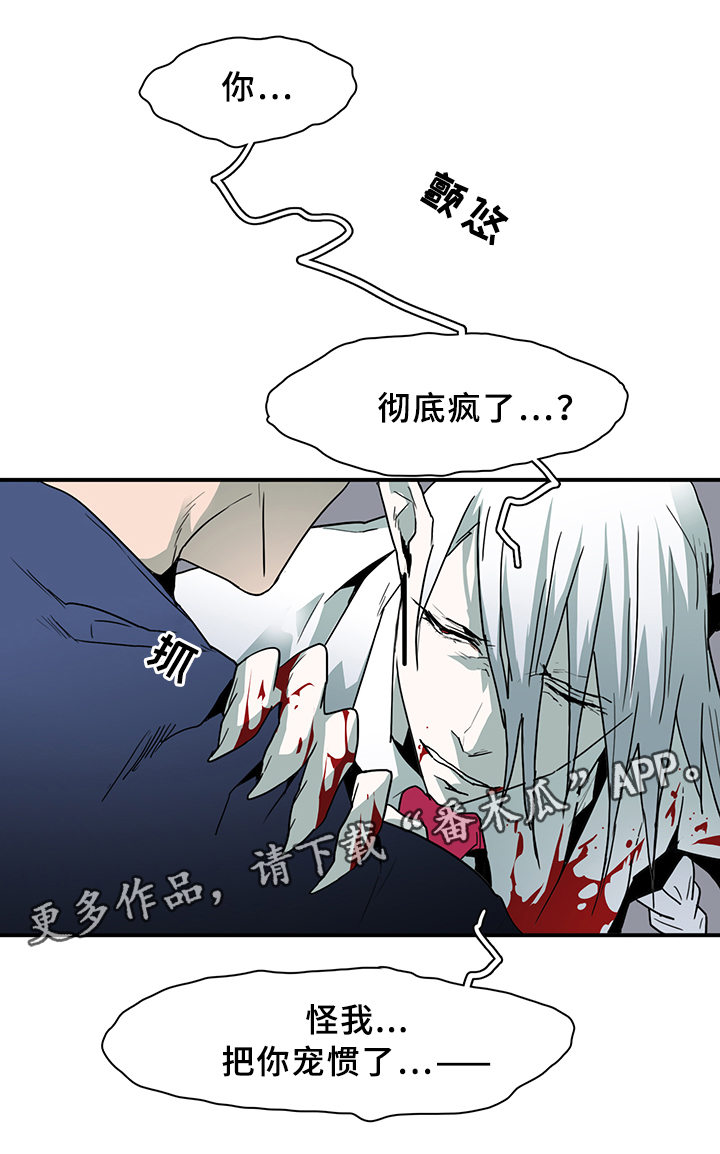 《黑焰纹章》漫画最新章节第83章行踪免费下拉式在线观看章节第【35】张图片