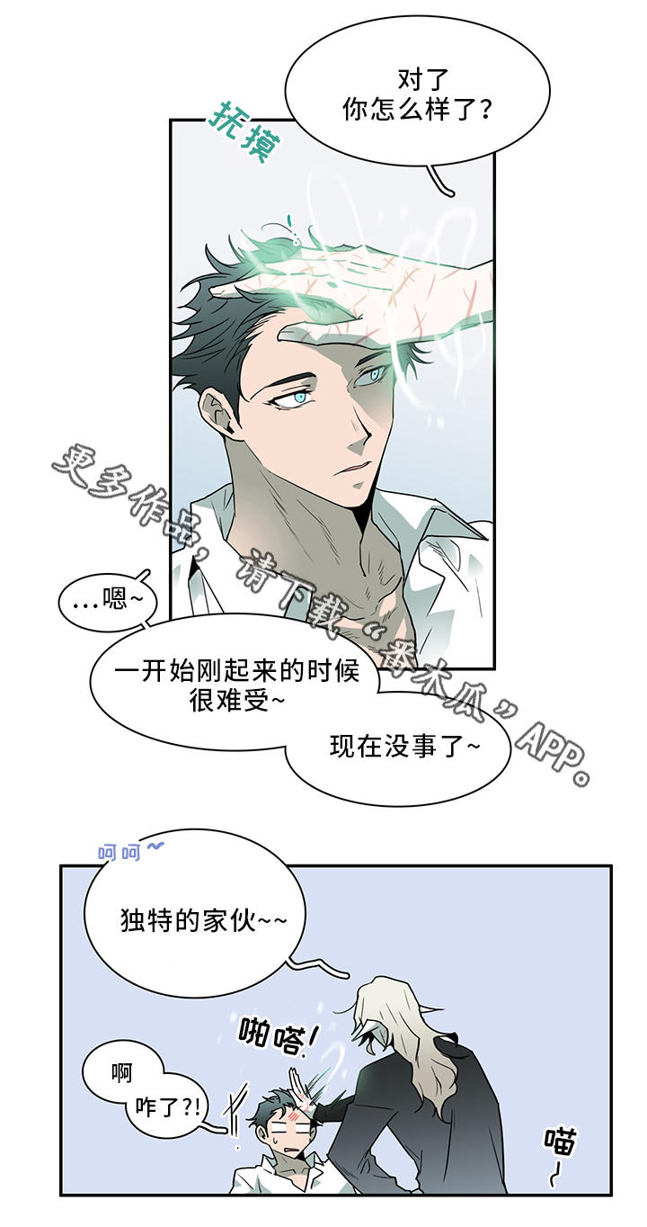 《黑焰纹章》漫画最新章节第90章那个笨蛋!免费下拉式在线观看章节第【10】张图片