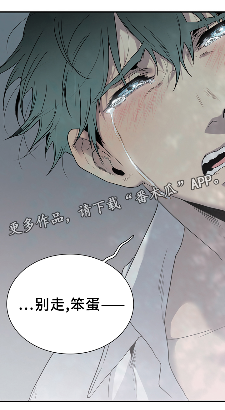 《黑焰纹章》漫画最新章节第93章我需要你免费下拉式在线观看章节第【10】张图片