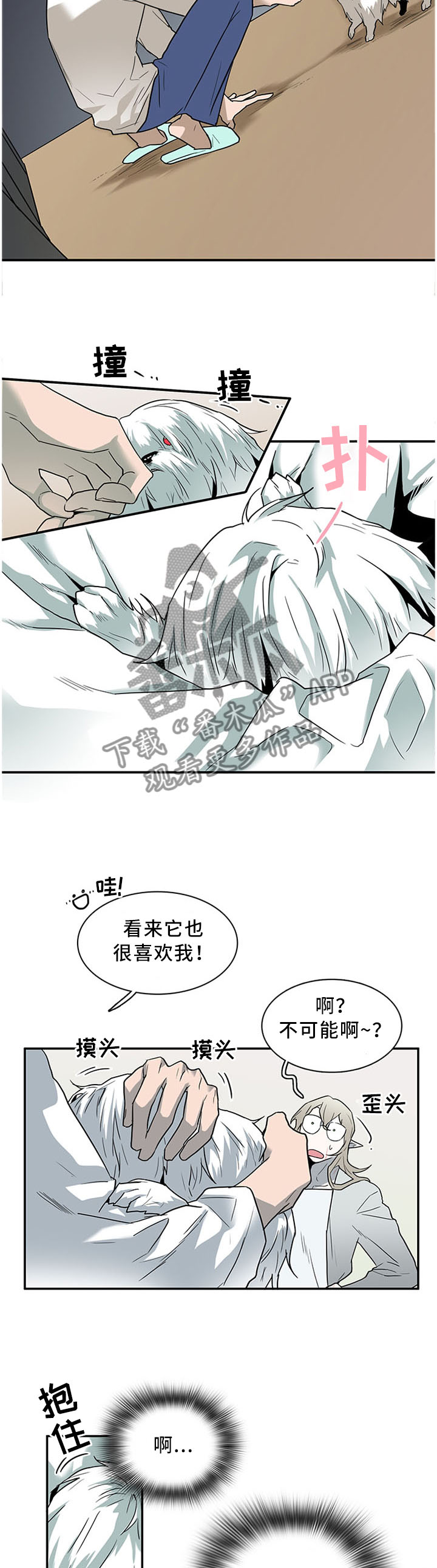 《黑焰纹章》漫画最新章节第116章温暖的感觉免费下拉式在线观看章节第【2】张图片