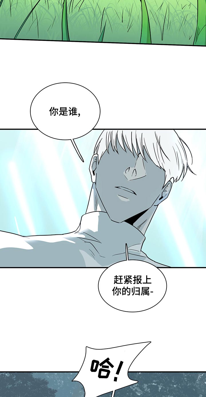 《黑焰纹章》漫画最新章节第169章全部吸收免费下拉式在线观看章节第【12】张图片