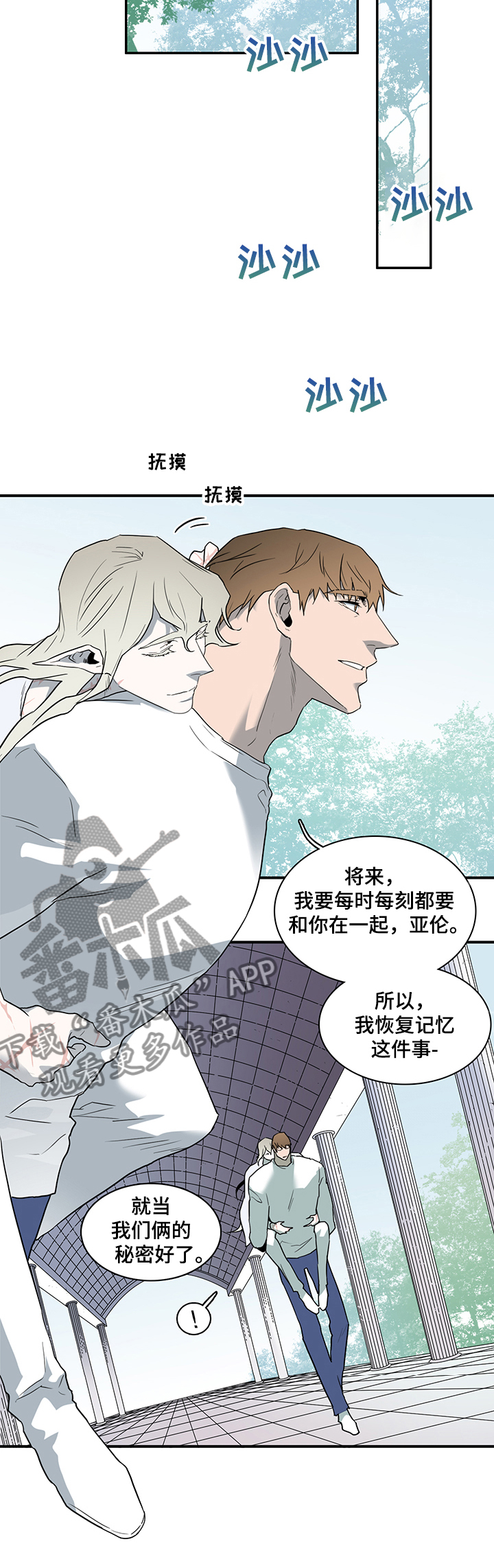 《黑焰纹章》漫画最新章节第211章灵魂碎片免费下拉式在线观看章节第【6】张图片