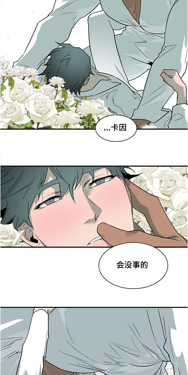 《黑焰纹章》漫画最新章节第227章不要回忆悲伤免费下拉式在线观看章节第【7】张图片