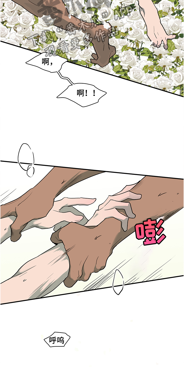 《黑焰纹章》漫画最新章节第228章重回身体免费下拉式在线观看章节第【20】张图片