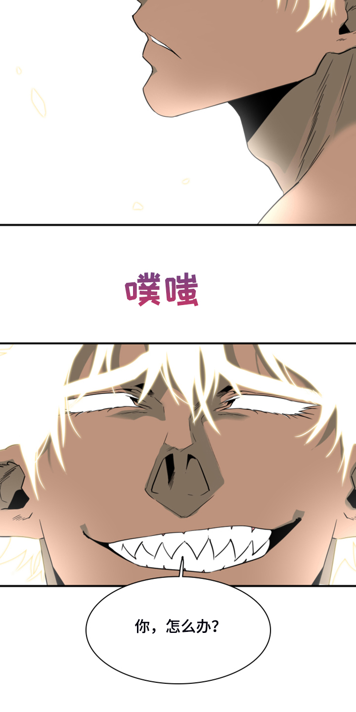 《黑焰纹章》漫画最新章节第239章“没有”结局免费下拉式在线观看章节第【15】张图片