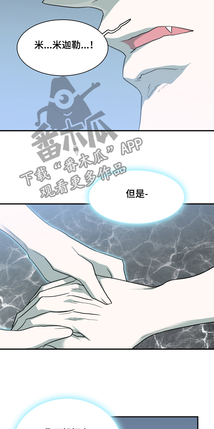 《黑焰纹章》漫画最新章节第243章回归于无免费下拉式在线观看章节第【14】张图片