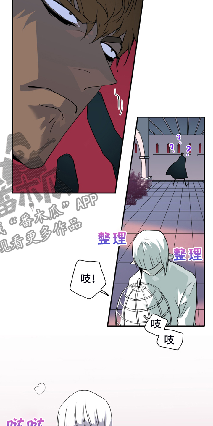 《黑焰纹章》漫画最新章节第245章神性诞生免费下拉式在线观看章节第【6】张图片