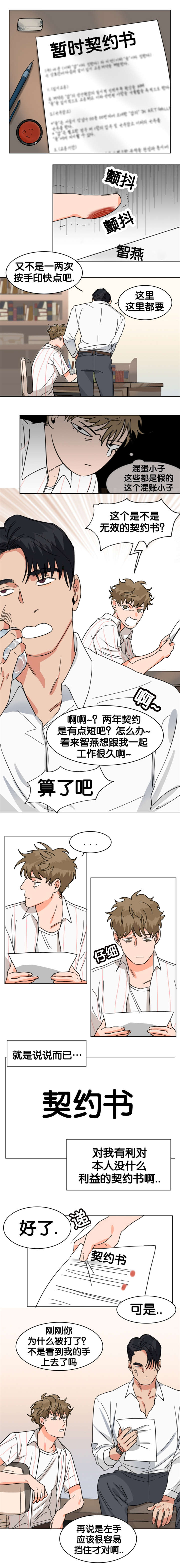 《智燕》漫画最新章节第15章契约书免费下拉式在线观看章节第【3】张图片