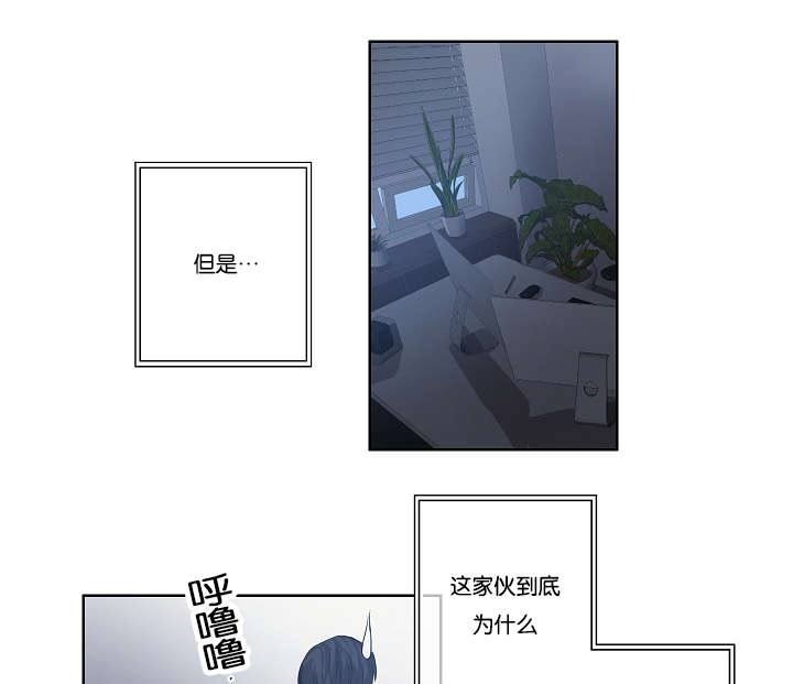 《间谍营救》漫画最新章节第29章到底为什么免费下拉式在线观看章节第【26】张图片