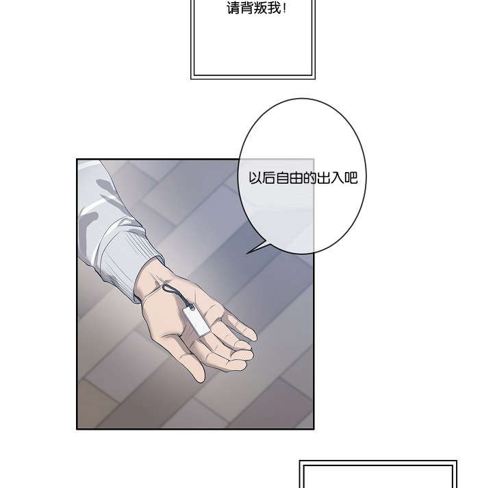 《间谍营救》漫画最新章节第31章各种计谋免费下拉式在线观看章节第【28】张图片