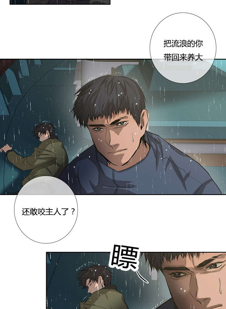 《间谍营救》漫画最新章节第39章最后的战斗（下）免费下拉式在线观看章节第【33】张图片