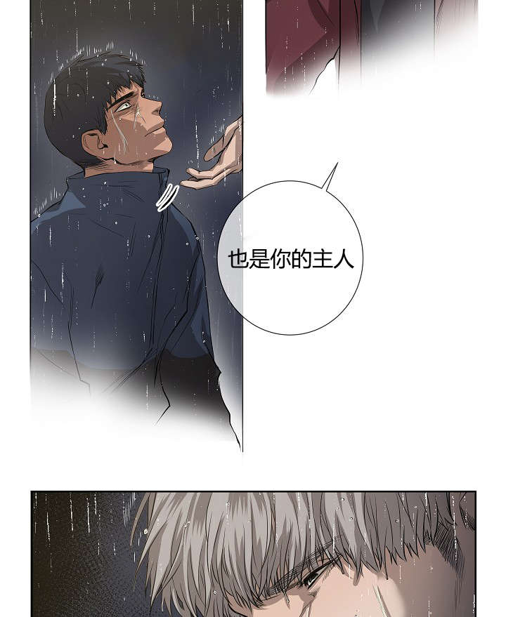 《间谍营救》漫画最新章节第39章最后的战斗（下）免费下拉式在线观看章节第【5】张图片