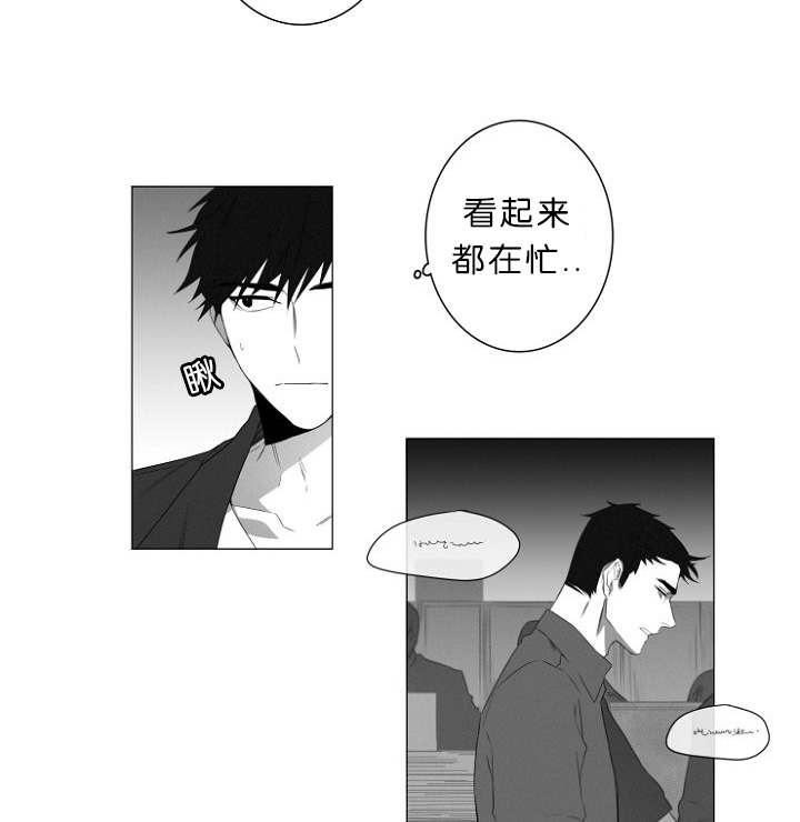 《近凶》漫画最新章节第1章第一天上班就行动免费下拉式在线观看章节第【20】张图片