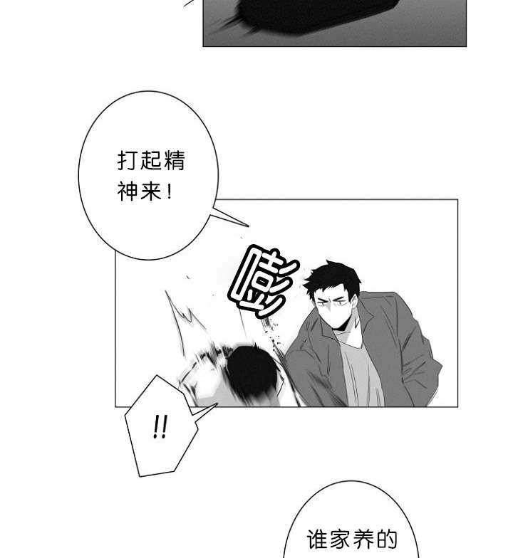 《近凶》漫画最新章节第7章又一起凶杀案免费下拉式在线观看章节第【9】张图片