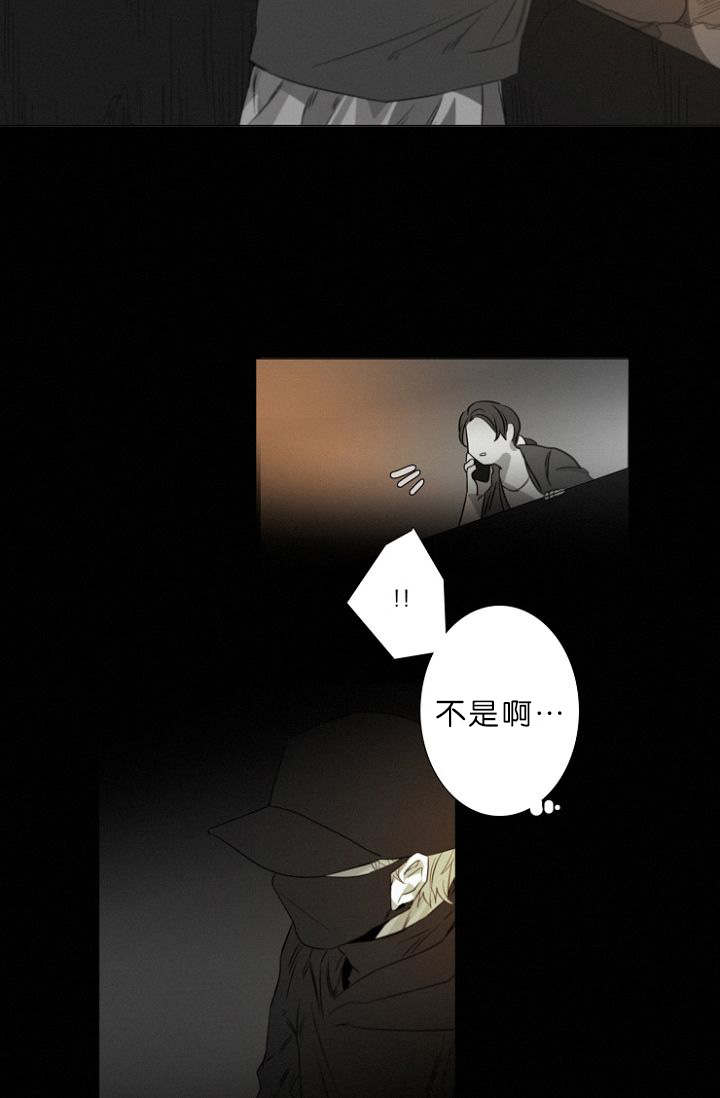 《近凶》漫画最新章节第11章目击案发现场免费下拉式在线观看章节第【15】张图片