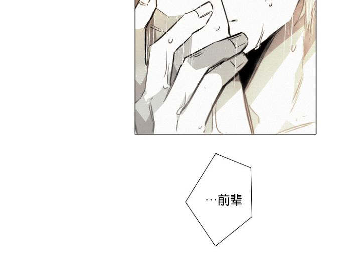 《近凶》漫画最新章节第20章重聚的幸福免费下拉式在线观看章节第【10】张图片