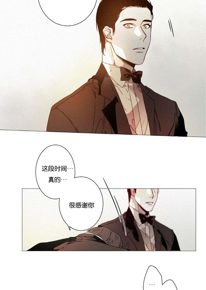 《近凶》漫画最新章节第39章完结撒花免费下拉式在线观看章节第【17】张图片