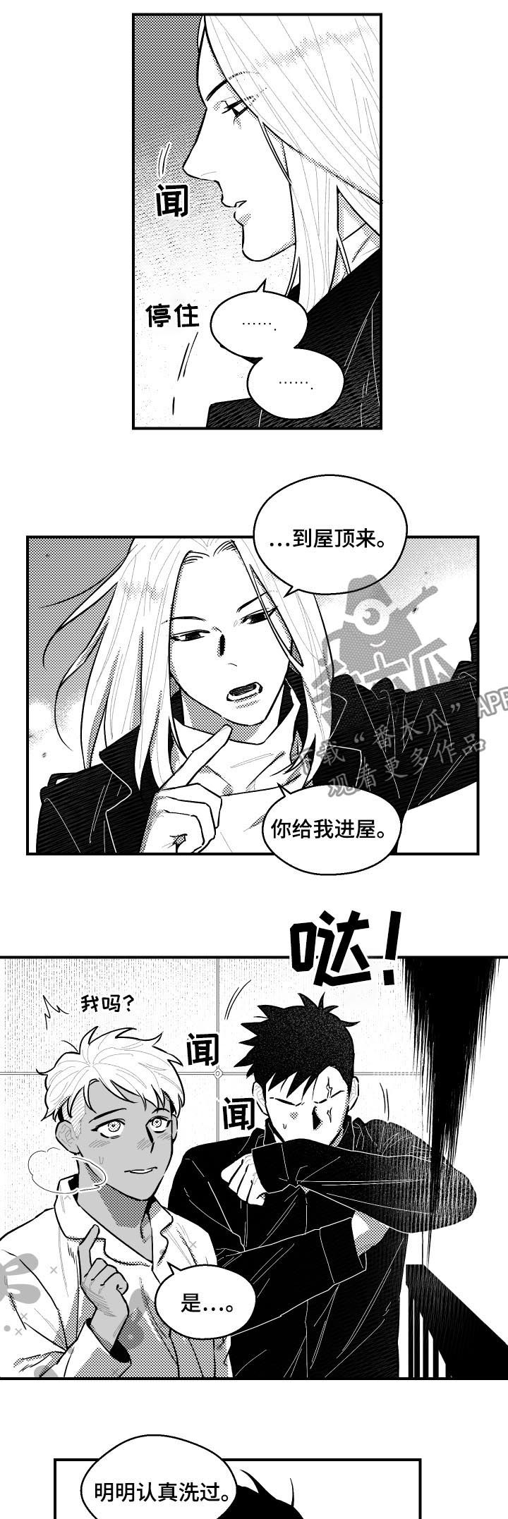 《夜游精灵》漫画最新章节第104章生存训练免费下拉式在线观看章节第【9】张图片