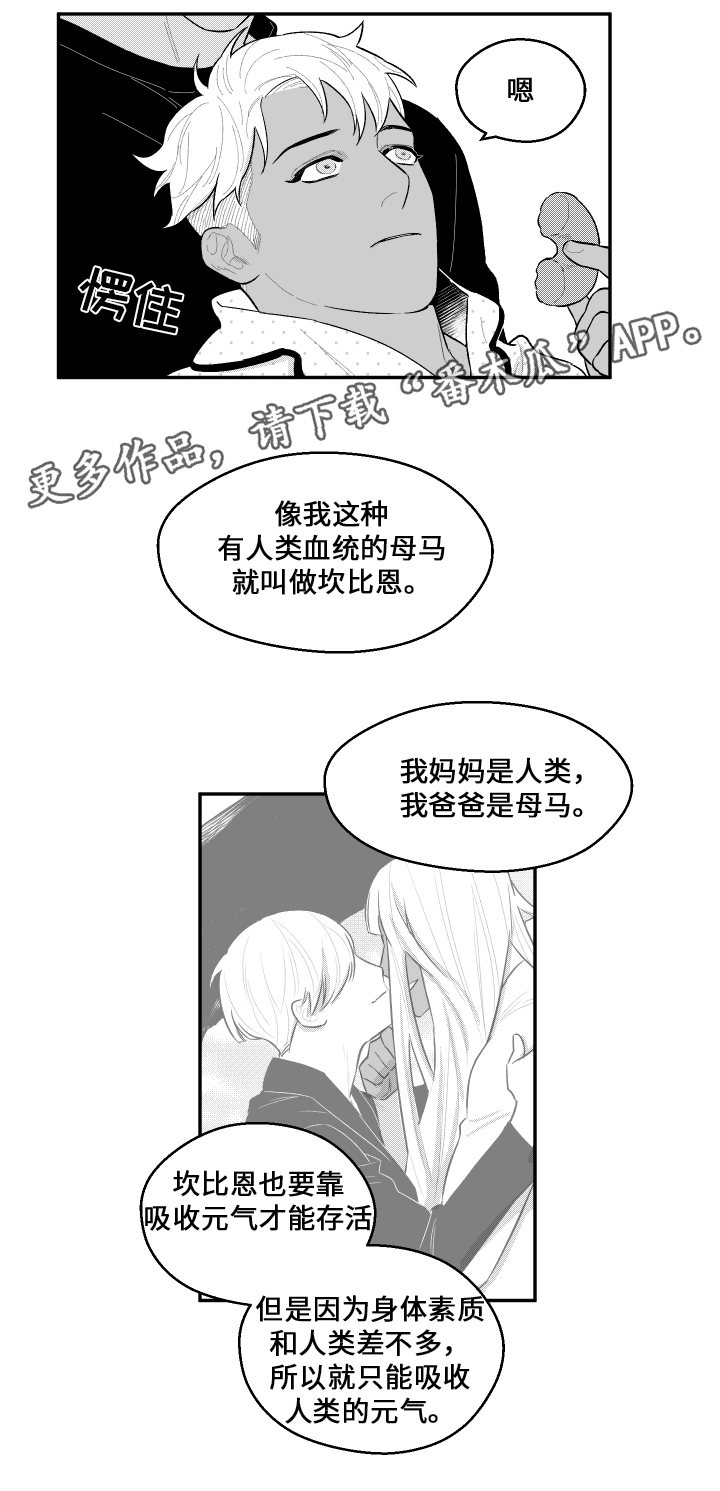 《夜游精灵》漫画最新章节第37章元气免费下拉式在线观看章节第【5】张图片