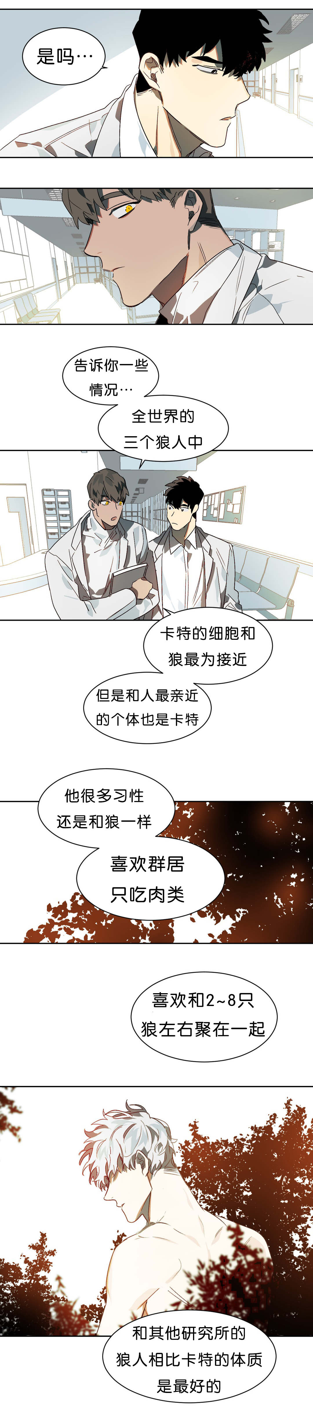 《狼人卡特》漫画最新章节第11章续杯概念免费下拉式在线观看章节第【4】张图片