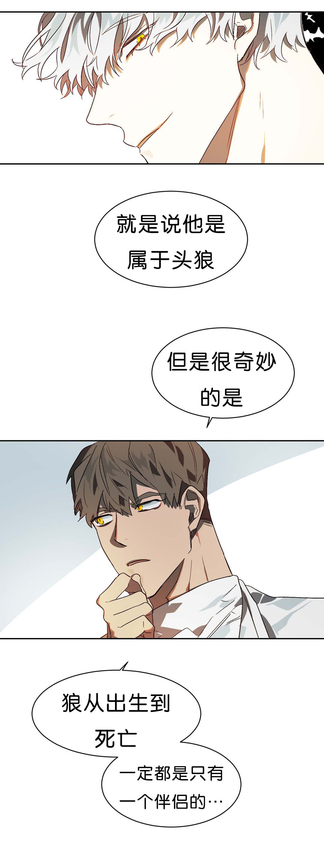 《狼人卡特》漫画最新章节第11章续杯概念免费下拉式在线观看章节第【3】张图片