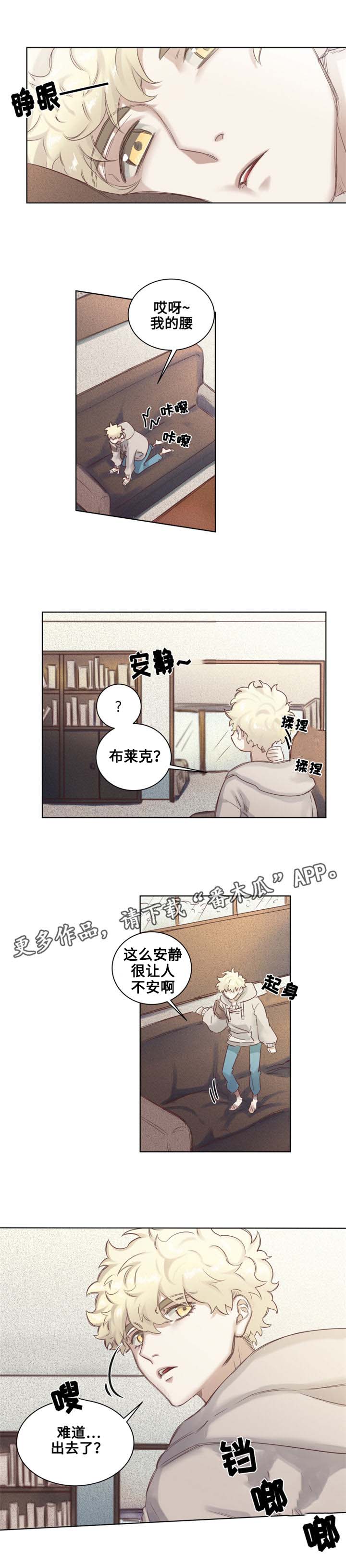 《魔法师皮塔》漫画最新章节第5章青蛙夫妇免费下拉式在线观看章节第【3】张图片