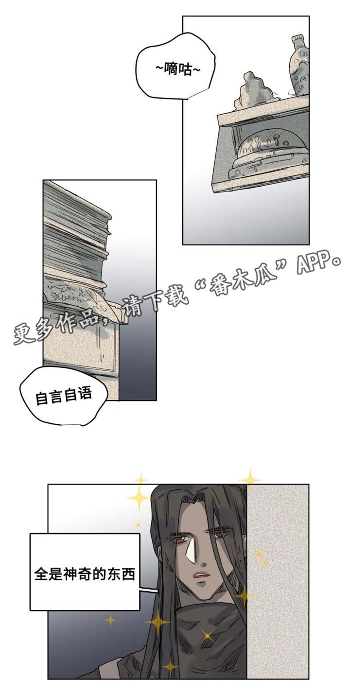 《魔法师皮塔》漫画最新章节第8章地下室免费下拉式在线观看章节第【3】张图片