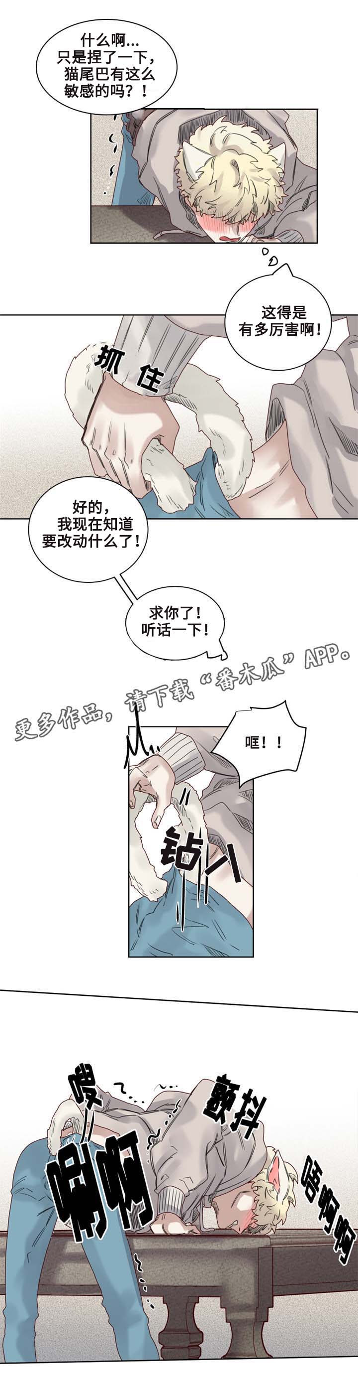 《魔法师皮塔》漫画最新章节第9章猫咪套装免费下拉式在线观看章节第【2】张图片