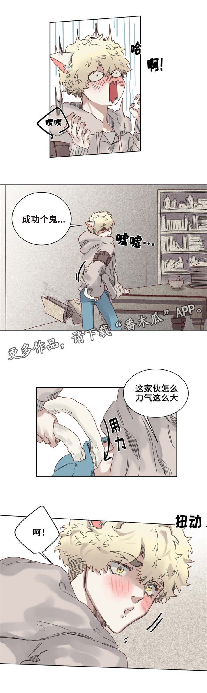 《魔法师皮塔》漫画最新章节第9章猫咪套装免费下拉式在线观看章节第【3】张图片