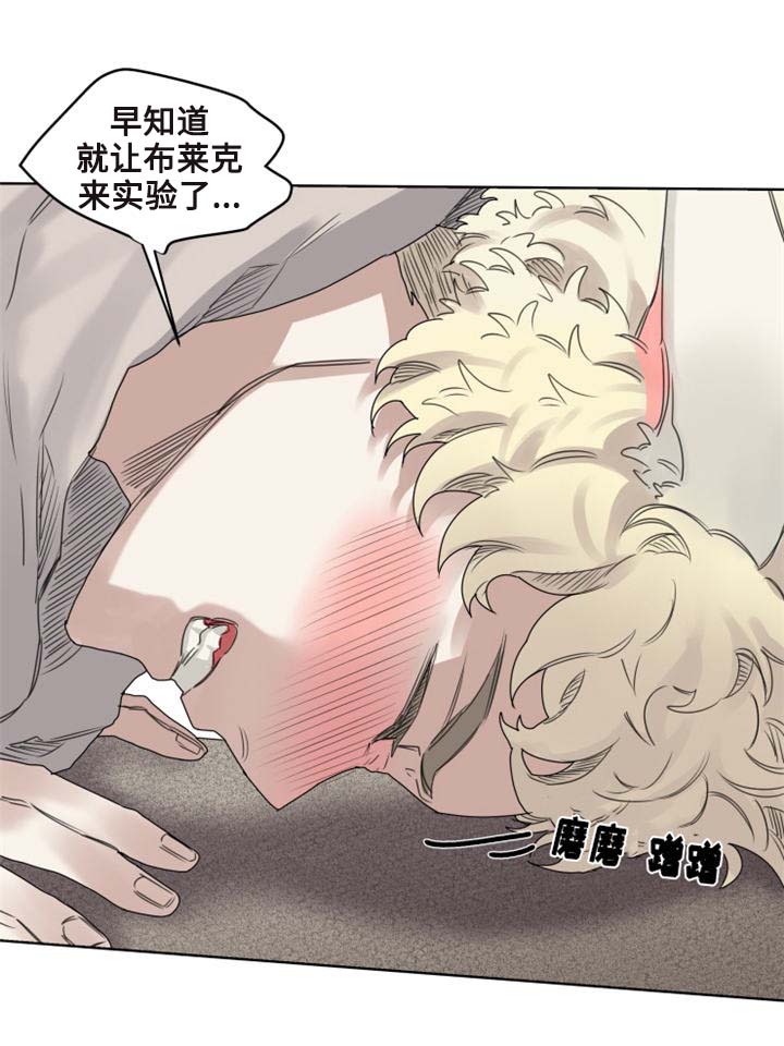 《魔法师皮塔》漫画最新章节第9章猫咪套装免费下拉式在线观看章节第【1】张图片