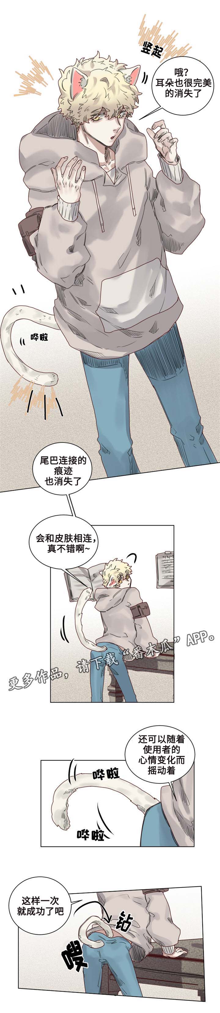 《魔法师皮塔》漫画最新章节第9章猫咪套装免费下拉式在线观看章节第【4】张图片